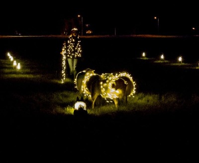 251303 sheeplightingsheeplighting-beeld (2)